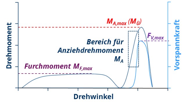 Bild 1.jpg
